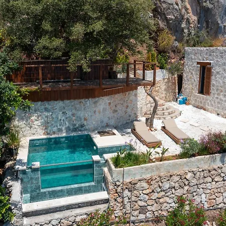 Property1 فيلة